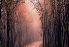 Tips for Success in Interwetten's Exciting Betting Game and Pool Experience