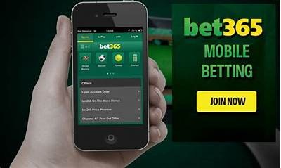 How to Update the Bet365 App on Android Devices for Optimal Performance