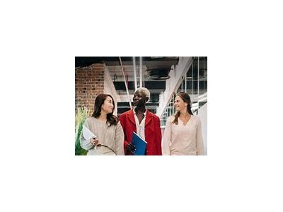 Explore Exciting Career Opportunities at WillBet and Join a Thriving Team Today