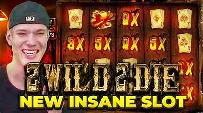 Exploring the Thrilling World of 2 Wild 2 Die and Max Win Strategies on Reddit