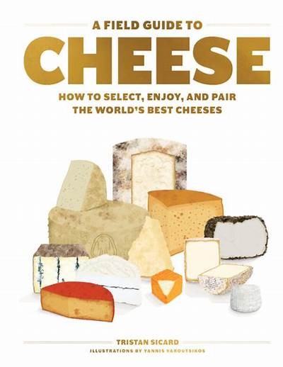 Understanding the Rules of the Get the Cheese Game for Fun and Strategy
