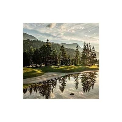 Images and Highlights from Interwetten Vienna: A Visual Tour of the Experience