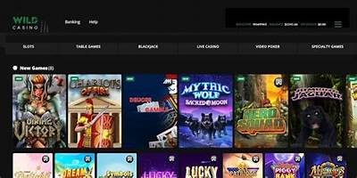 Live Betting at Willbet.es: Your Ultimate Guide to Real-Time Betting Experience