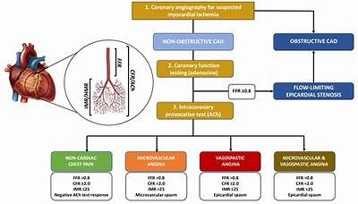 ESC Prognosis: Understanding the Future Outlook for Heart Health and Treatment Options
